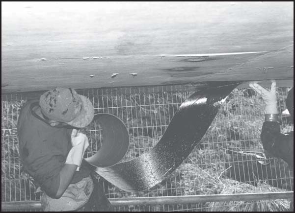 Photo of  the application of fiber-reinforced strengthening to the under-side of a of structure. (Photo source: TRL Limited, UK)
