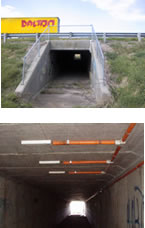 WIM sensors in situ